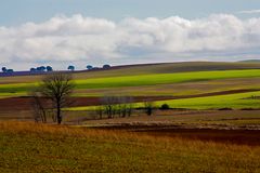 Tierra de Campos 7