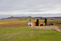 Tierra de Campos 8