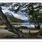 Tierra de Fuego