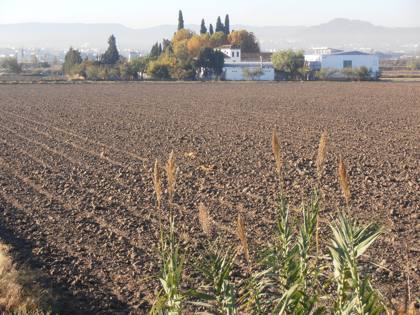 Tierra de labor en otoño