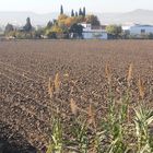 Tierra de labor en otoño