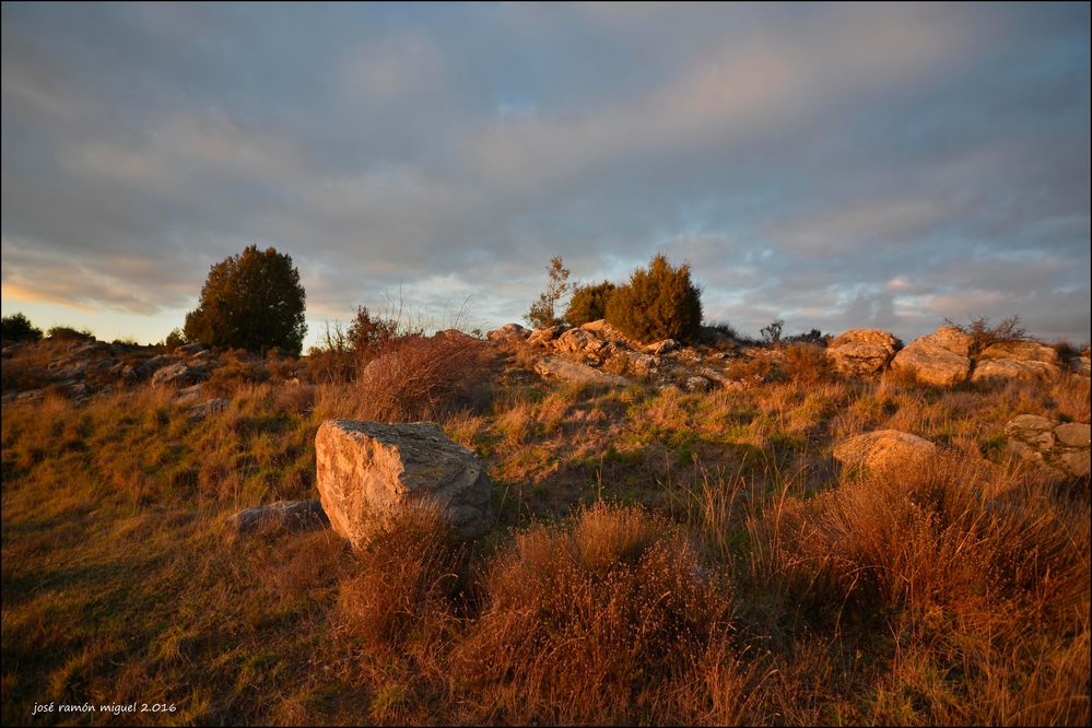 Tierra de sabinas