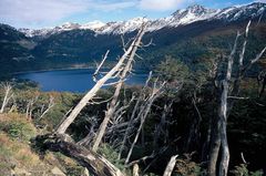 Tierra del Fuego