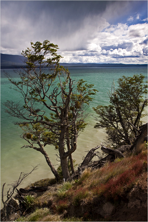 Tierra del Fuego