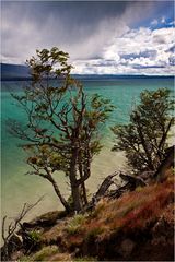 Tierra del Fuego