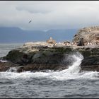 TIERRA DEL FUEGO - ARGENTINA