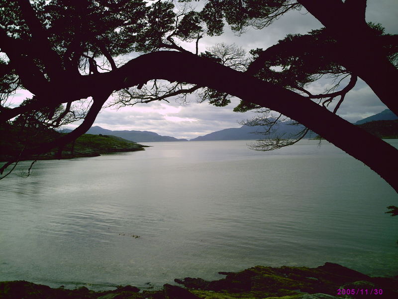 Tierra del fuego - ensenada bay