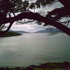 Tierra del fuego - ensenada bay