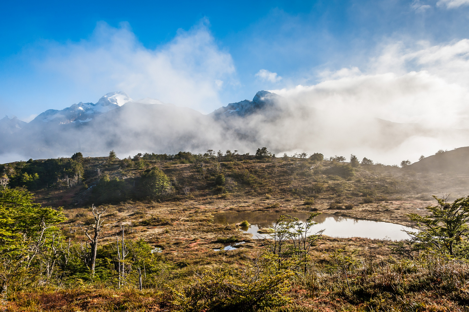 Tierra del Fuego - Hochmoor
