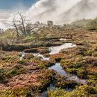 Tierra del Fuego - Hochmoor