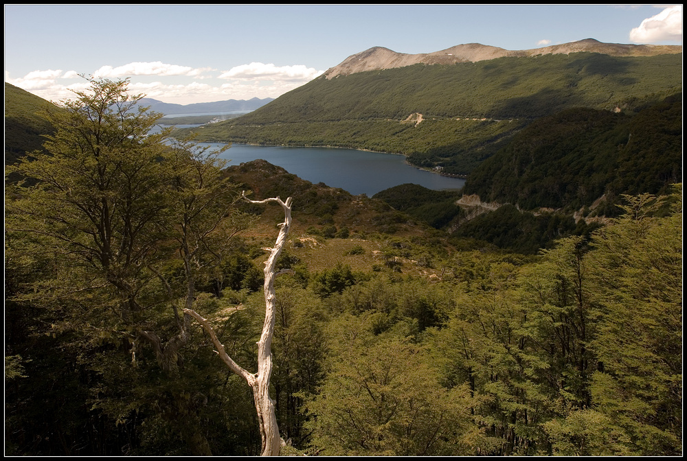 Tierra del Fuego • Lago Escondido