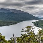 Tierra del Fuego - Lago Escondido
