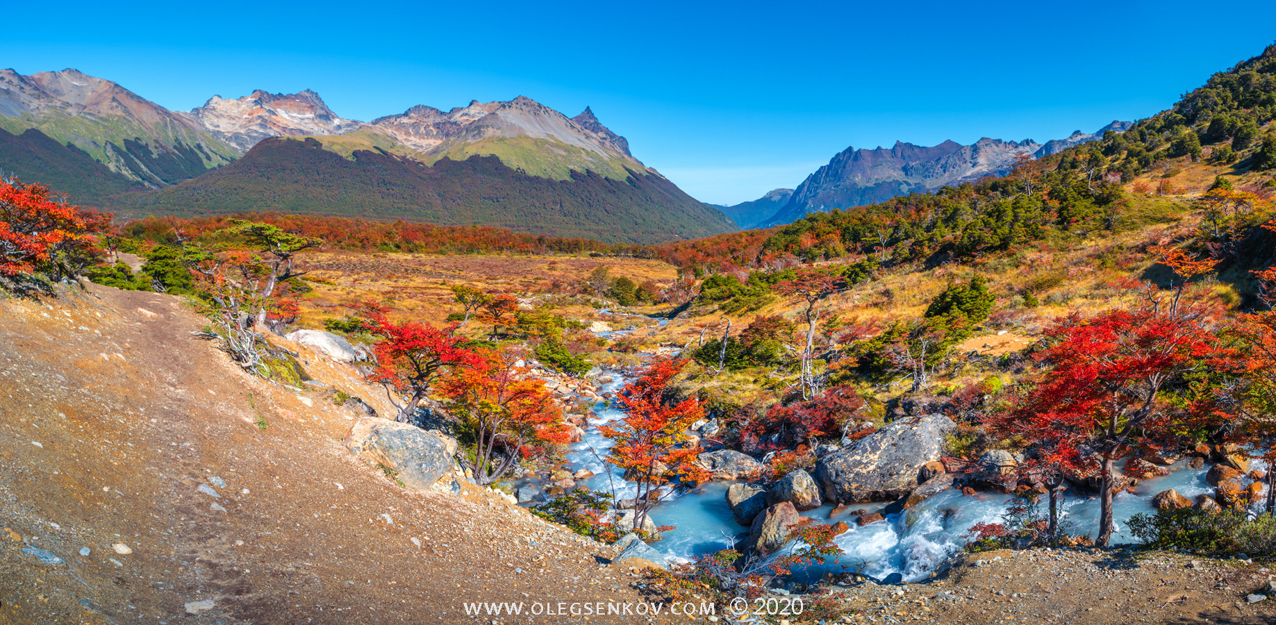 Tierra del Fuego National Park, Patagonia, Argentina