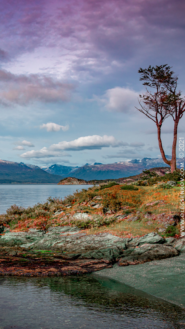 Tierra del Fuego National Park, Patagonia, Argentina