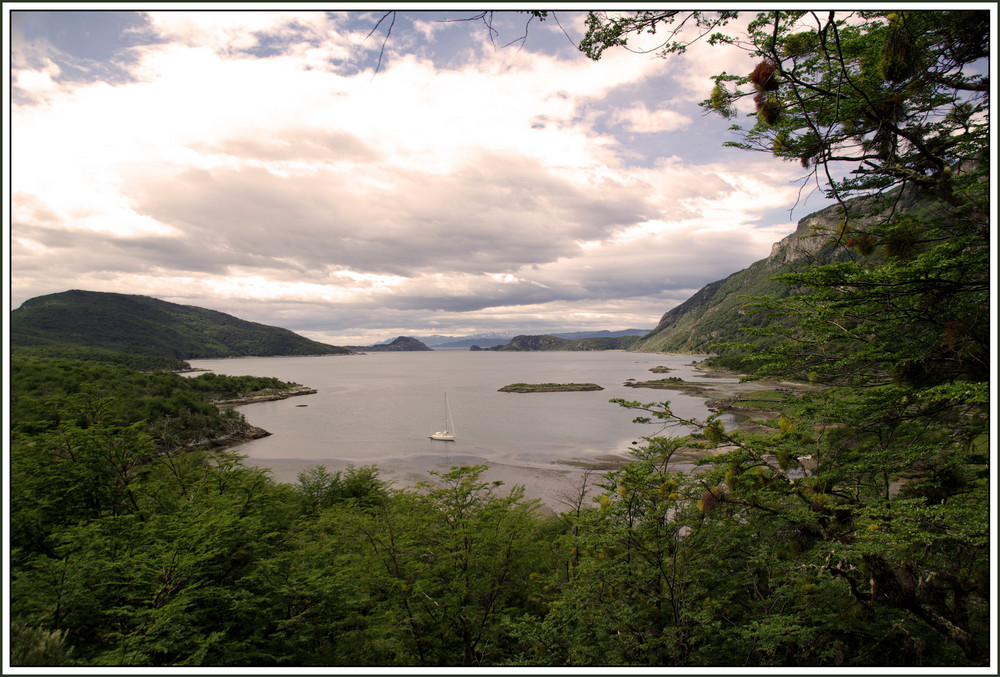 Tierra del Fuego - Patagonia - Argentina