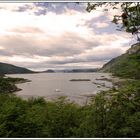 Tierra del Fuego - Patagonia - Argentina