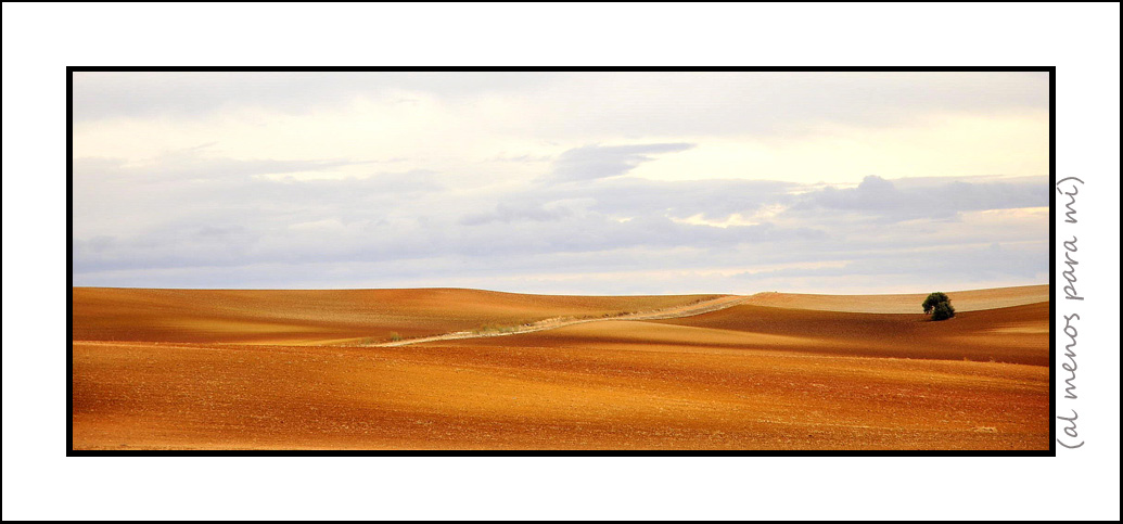 TIERRA DEL VINO (Zamora)