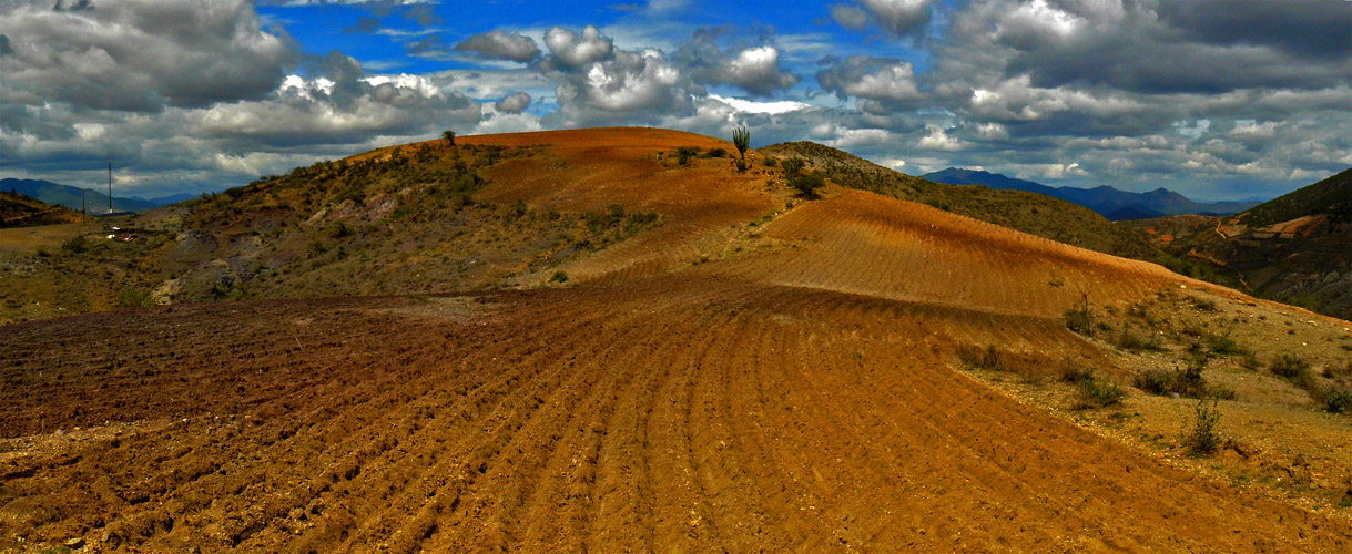 Tierra labrada