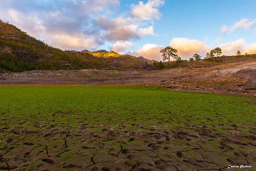 Tierra sedienta