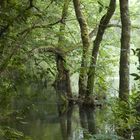 Tierra y agua