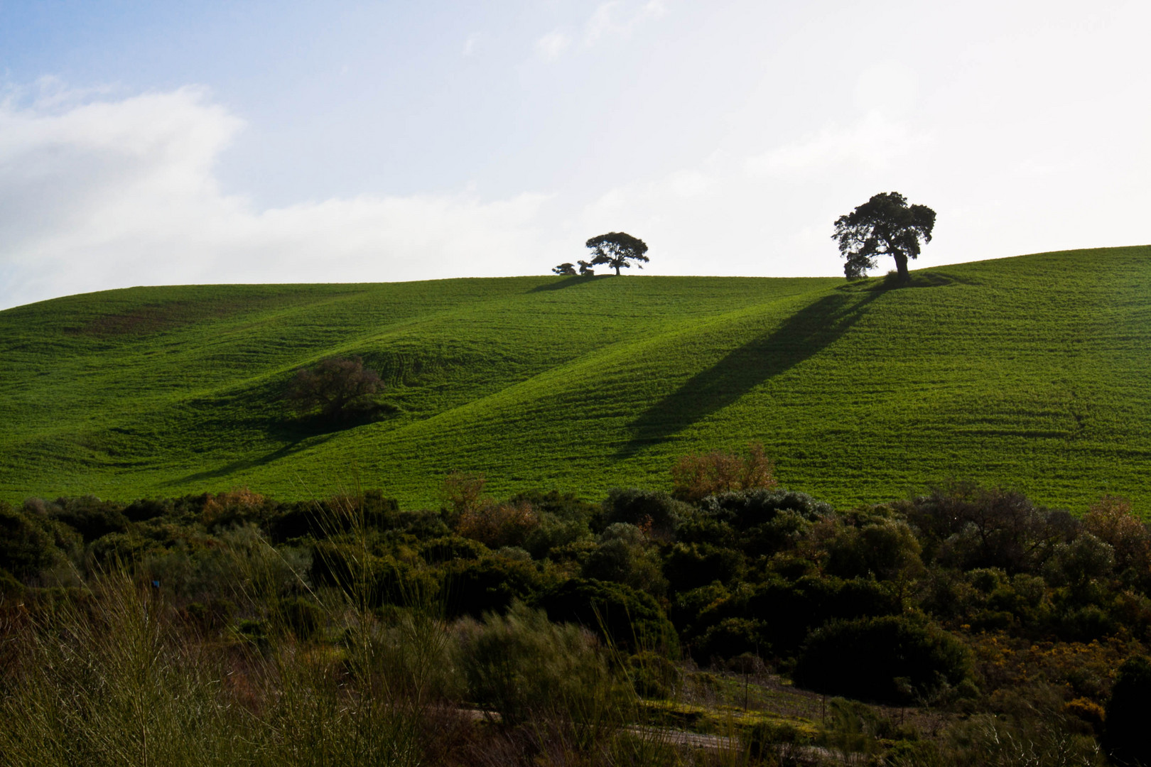 Tierra y cielo (serie) 6