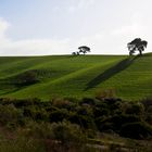 Tierra y cielo (serie) 6