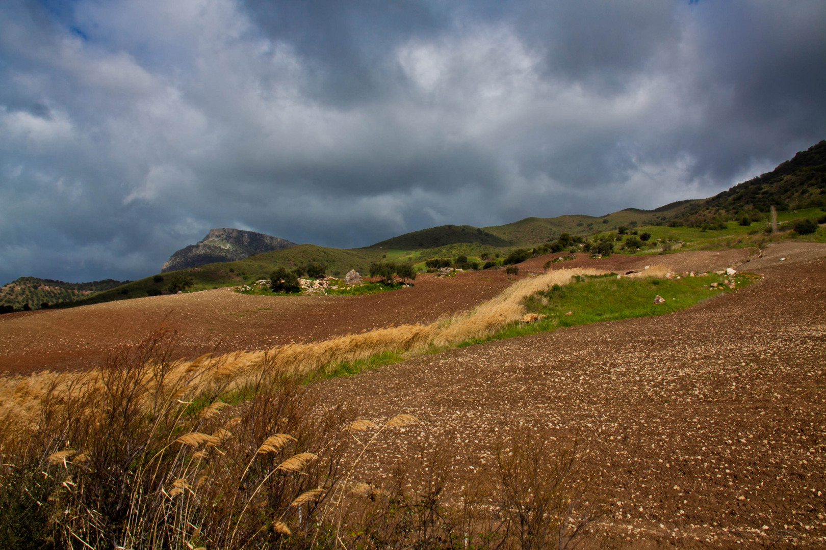 Tierra y cielo (serie) 7