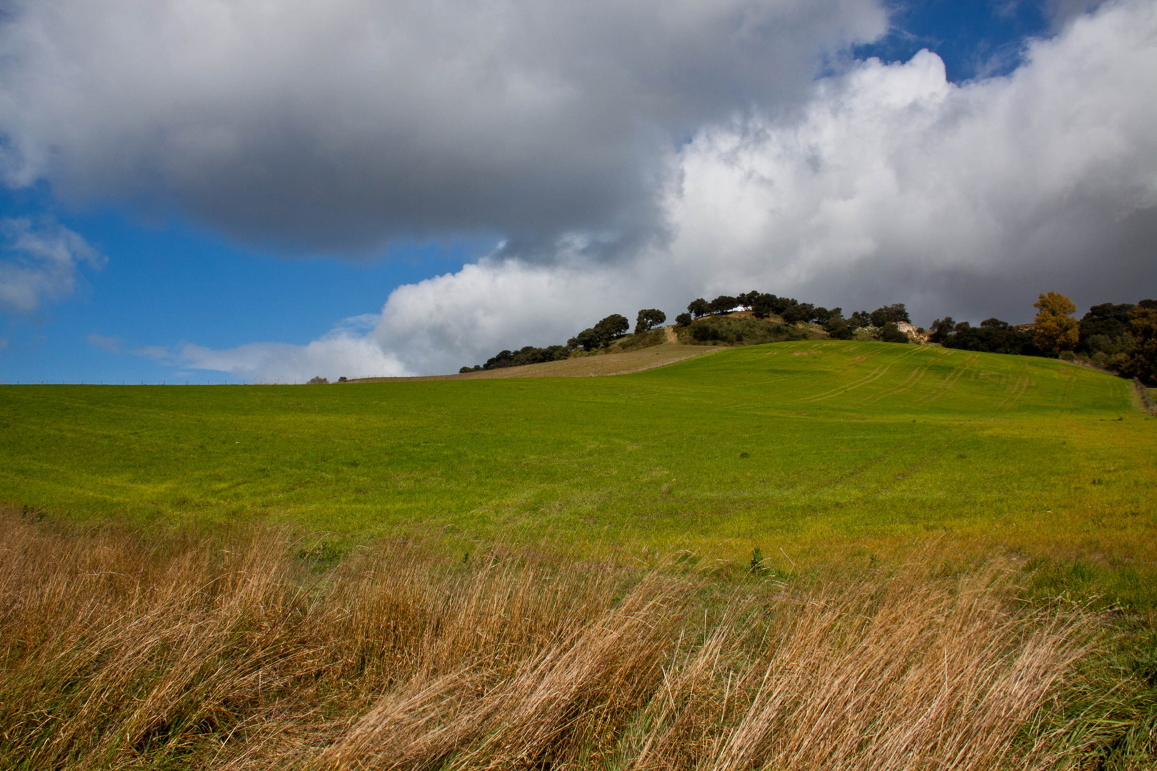 Tierra y cielo (serie) 8