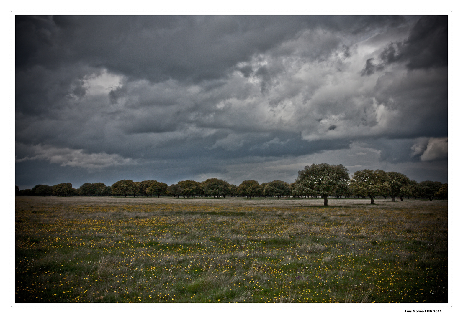 Tierras de Salamanca