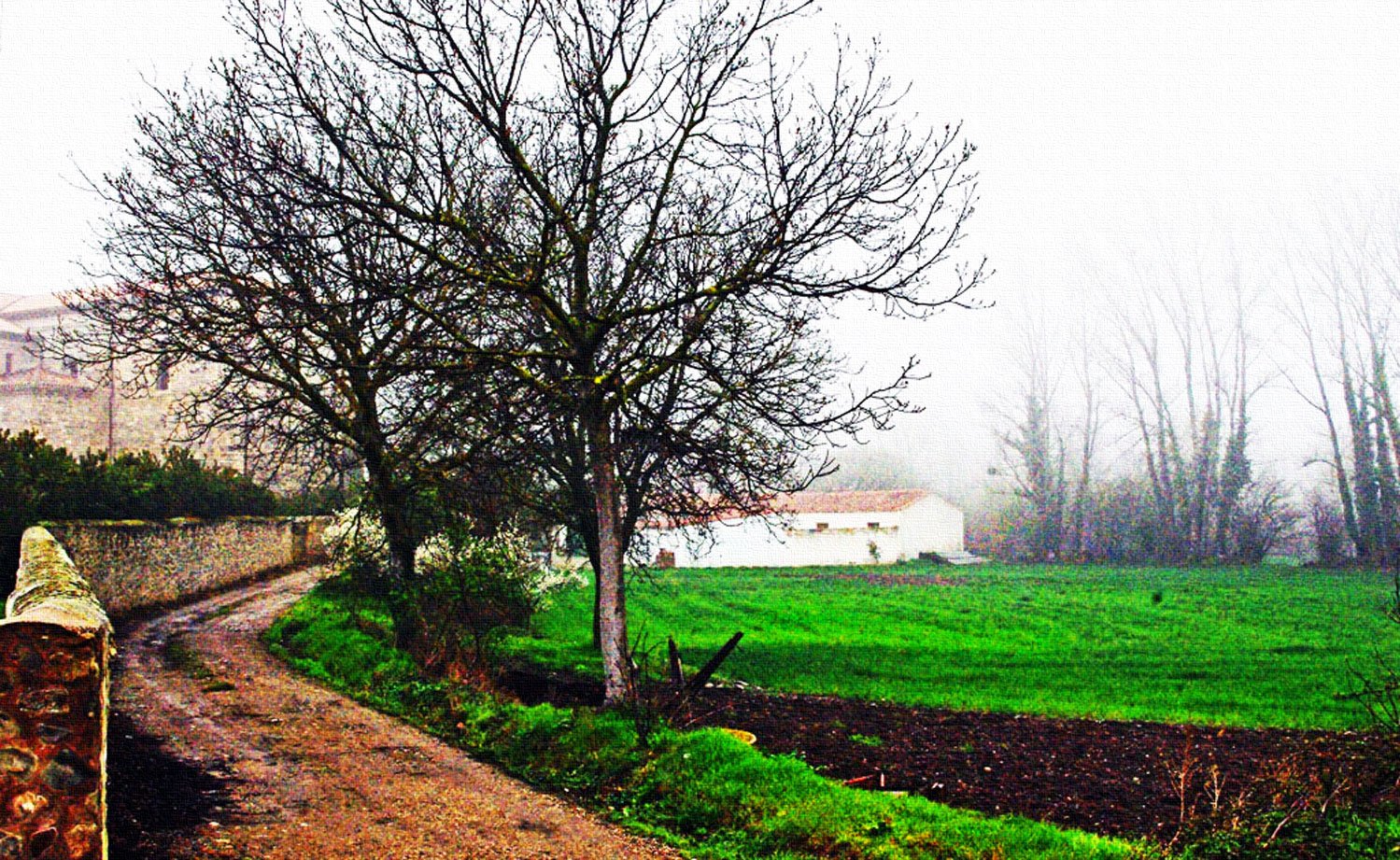 Tierras del Cid.