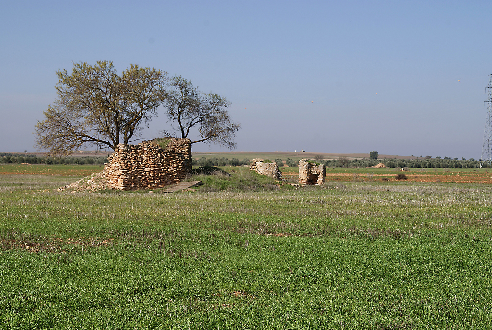 Tierras Manchegas 2