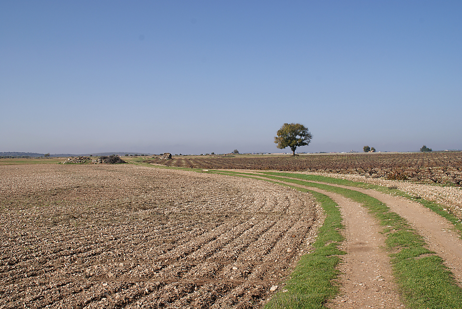 Tierras Manchegas