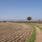 Tierras Manchegas