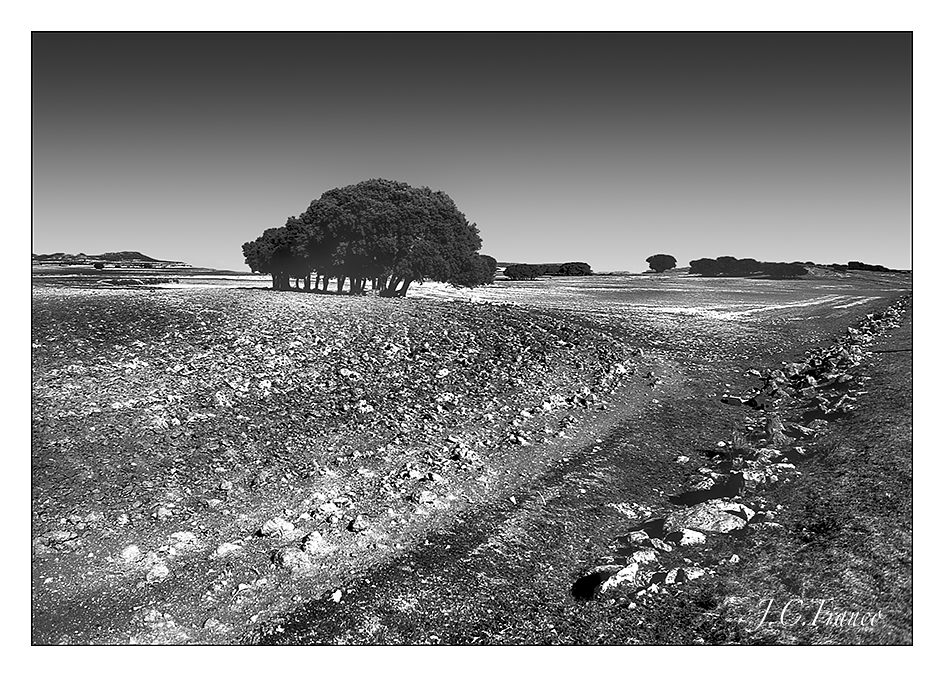 tierras manchegas