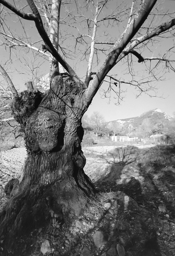 TIERRAS ROJAS DE LAS MÉDULAS. León