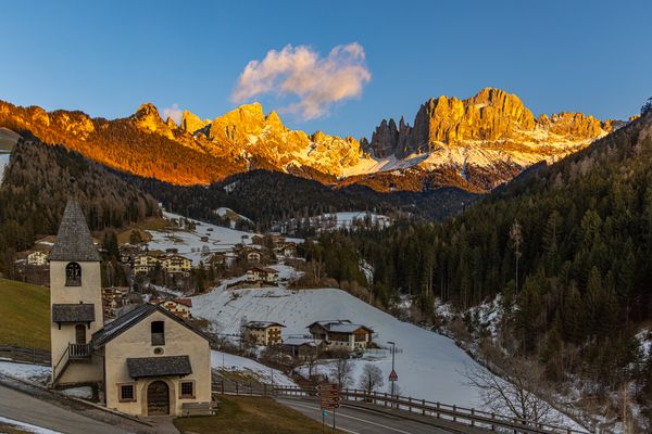 Tiers am Rosengarten