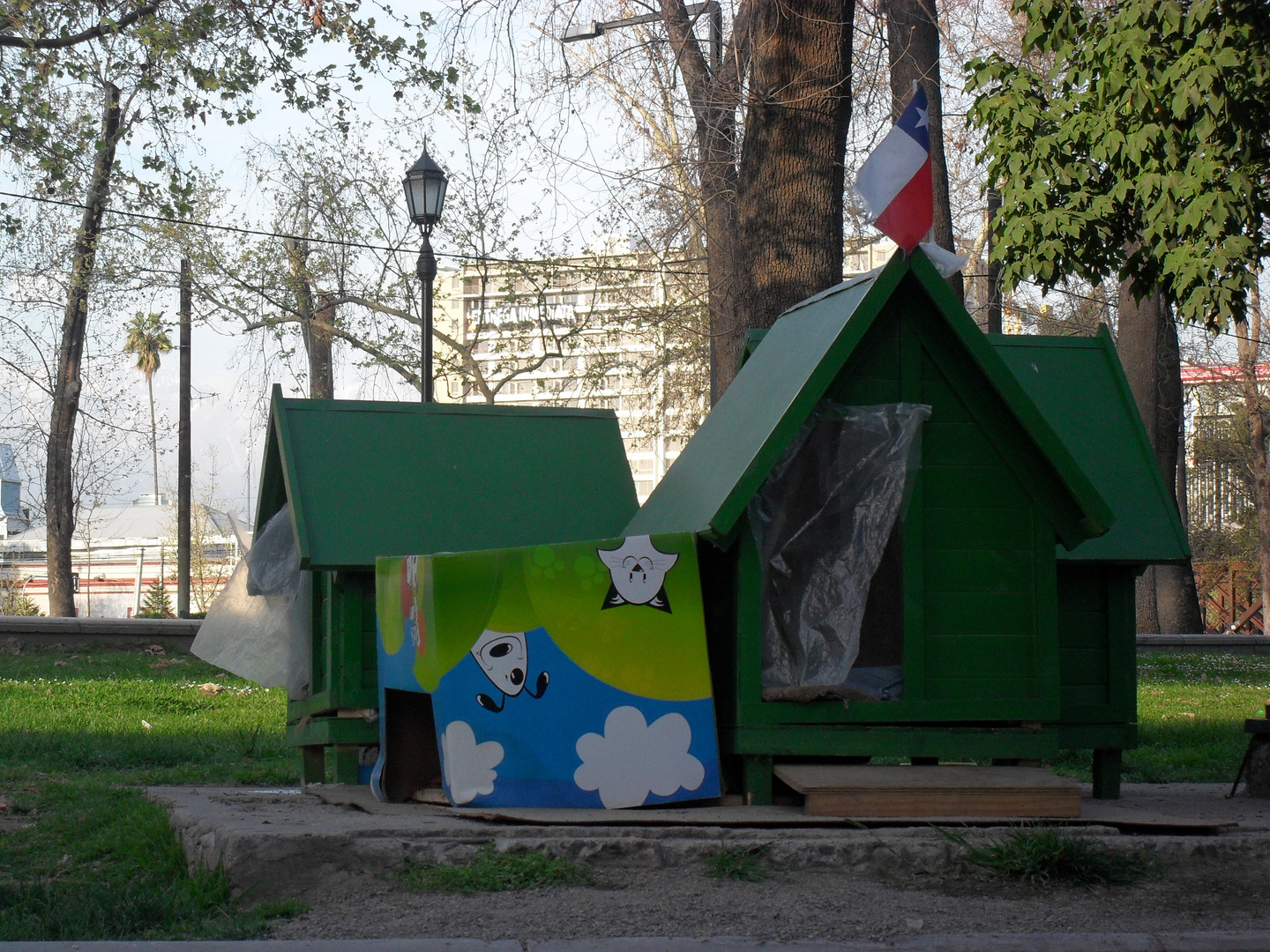 Tierschutz in Santiago de Chile