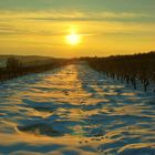 Tierspuren im Schnee