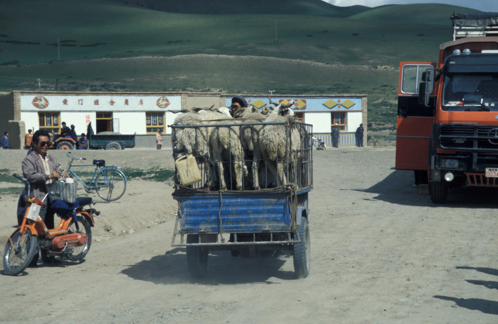 Tiertransport auf chinesisch