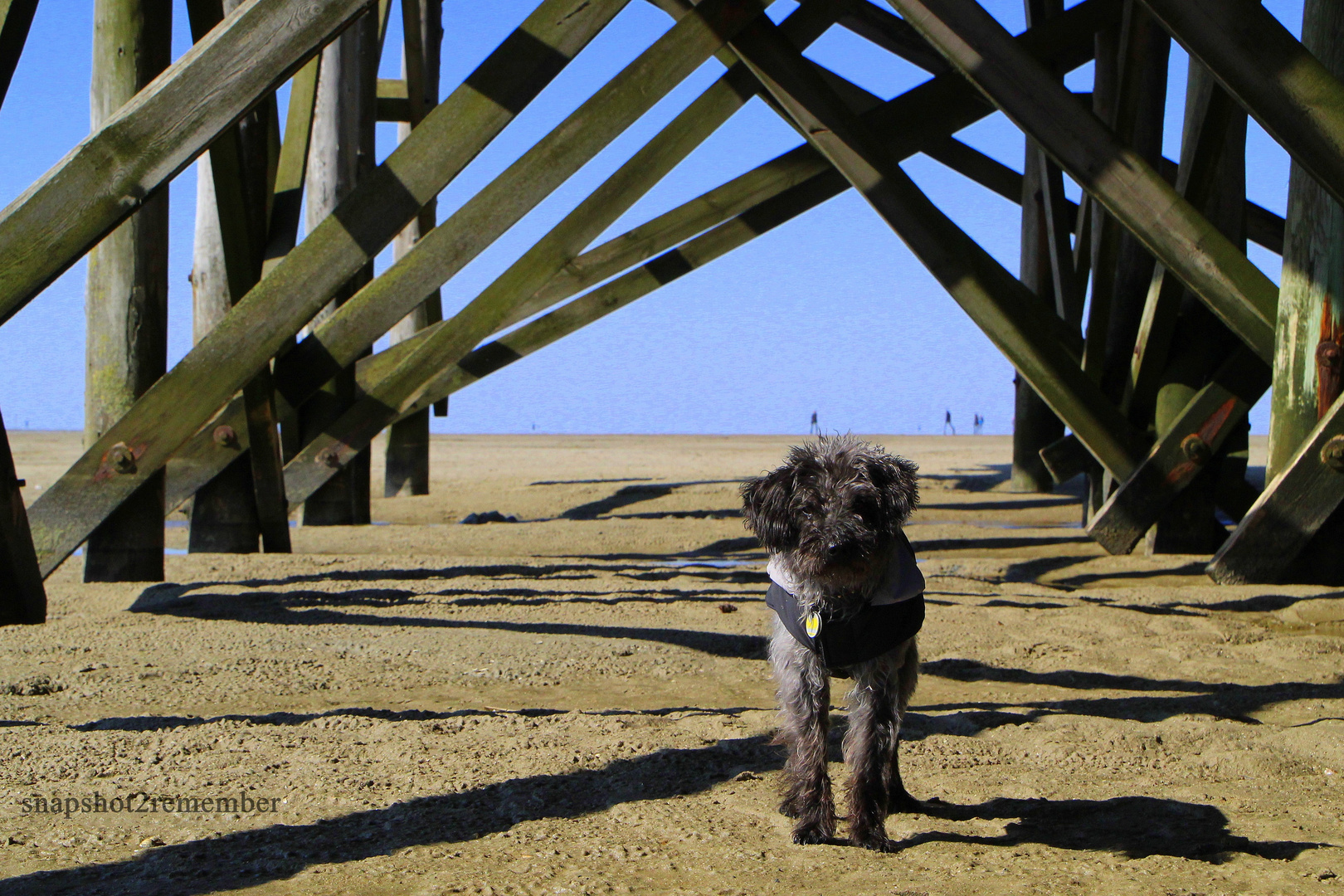 Tiffy in St Peter-Ording