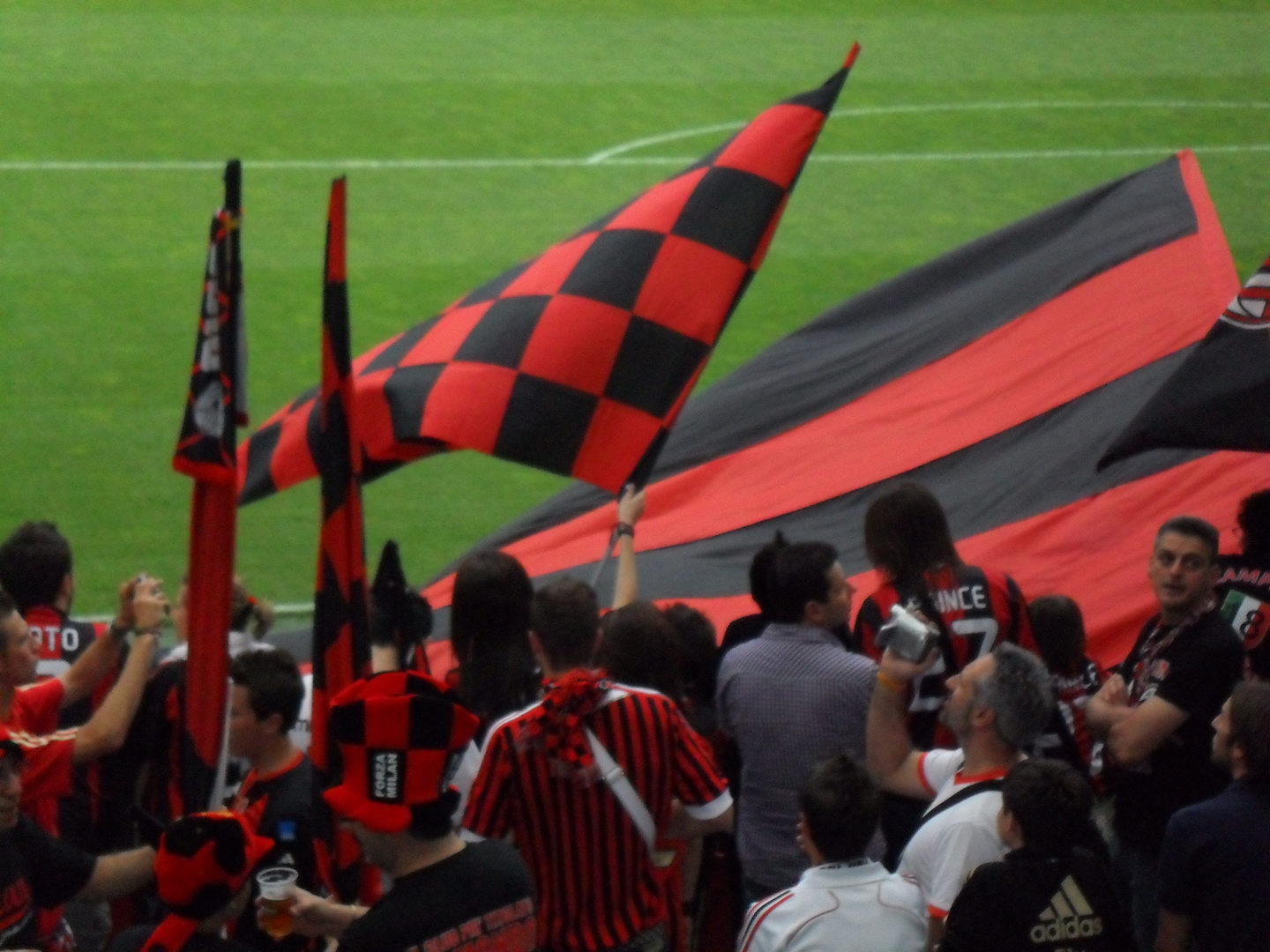 tifosi