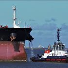 " TIGANI " Crude Oil Tanker, Rotterdam.