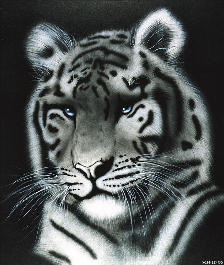 Tiger 03