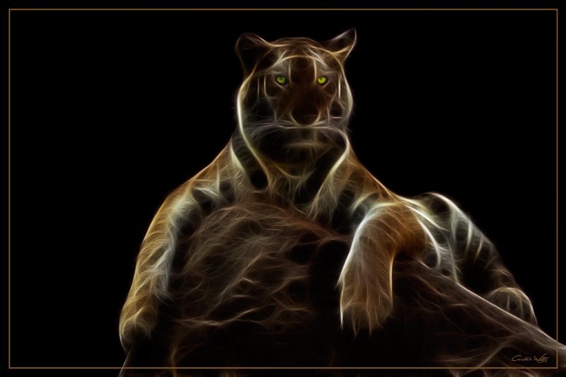 ..::Tiger::..