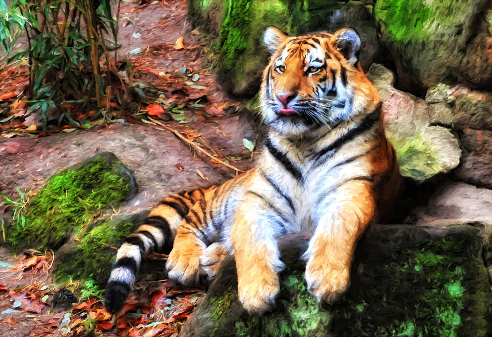 Tiger 2009