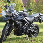 Tiger 800 xc