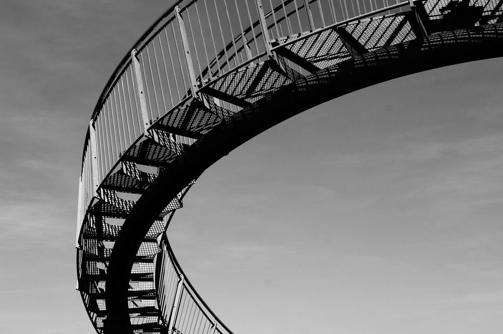 Tiger &amp;amp; Turtle