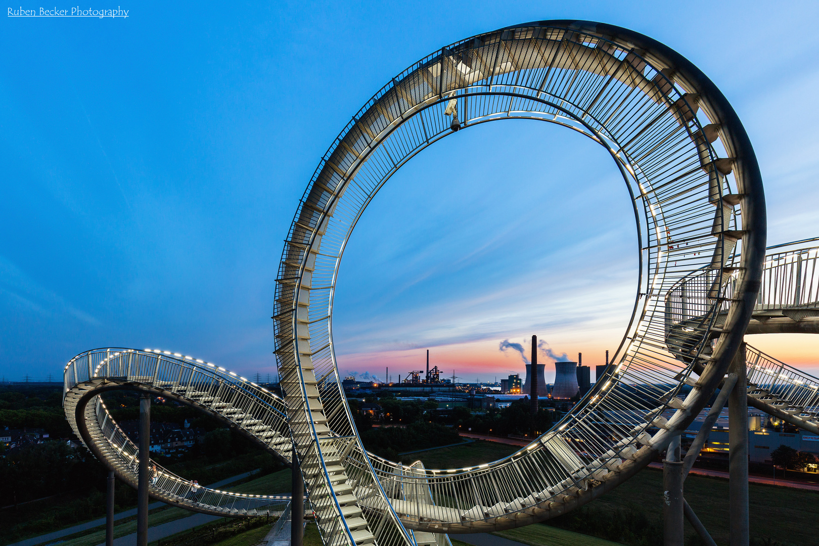 Tiger an Turtle I