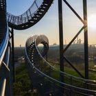 tiger and turtle