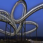 Tiger and Turtle 01